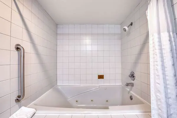 Comfort Suites Madison West - Middleton 4