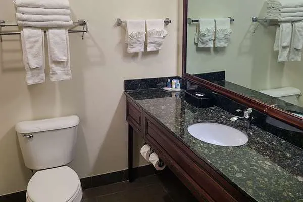 Comfort Suites Madison West - Middleton 4