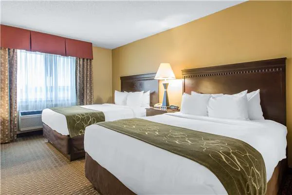 Comfort Suites Wisconsin Dells Area 4