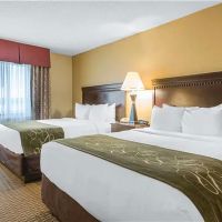 Comfort Suites Wisconsin Dells Area ico