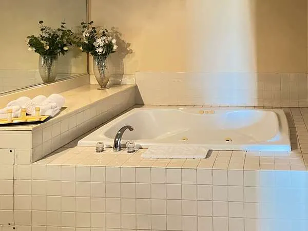 Comfort Inn & Suites Madison East - Monona 4