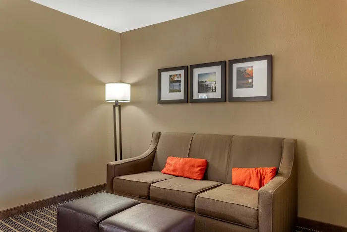 Comfort Suites Delavan - Lake Geneva Area 4