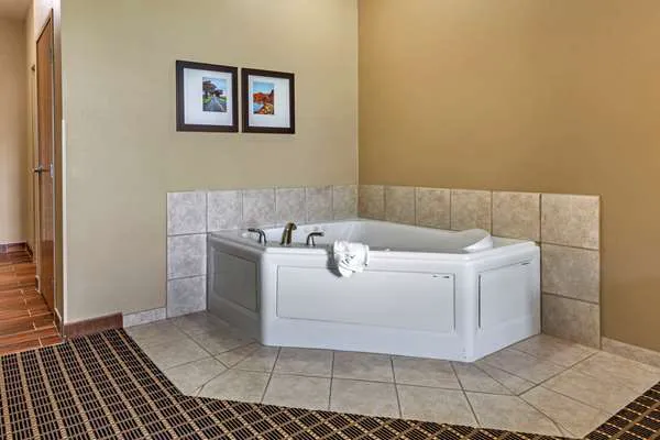 Comfort Suites Delavan - Lake Geneva Area 4