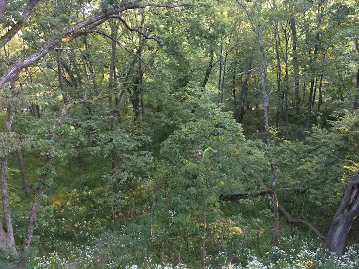 Wilderness Retreat Cabins 4
