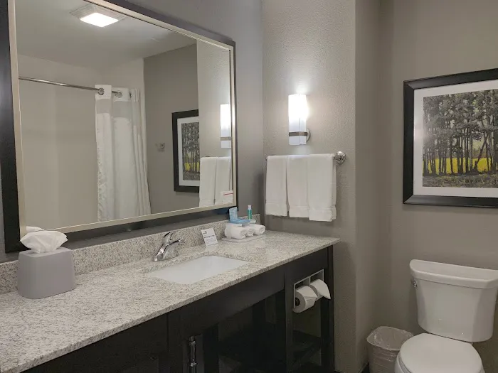 Holiday Inn Express & Suites Madison Central by IHG 4