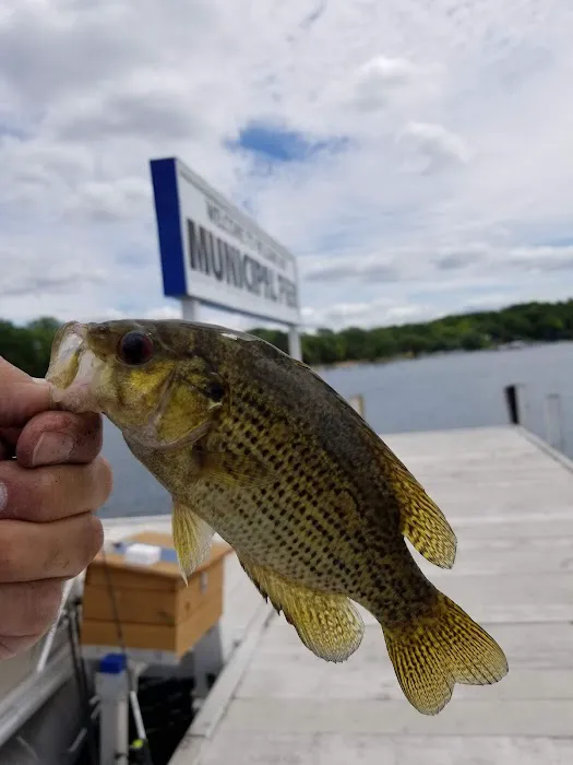 Chippewa Resort 4