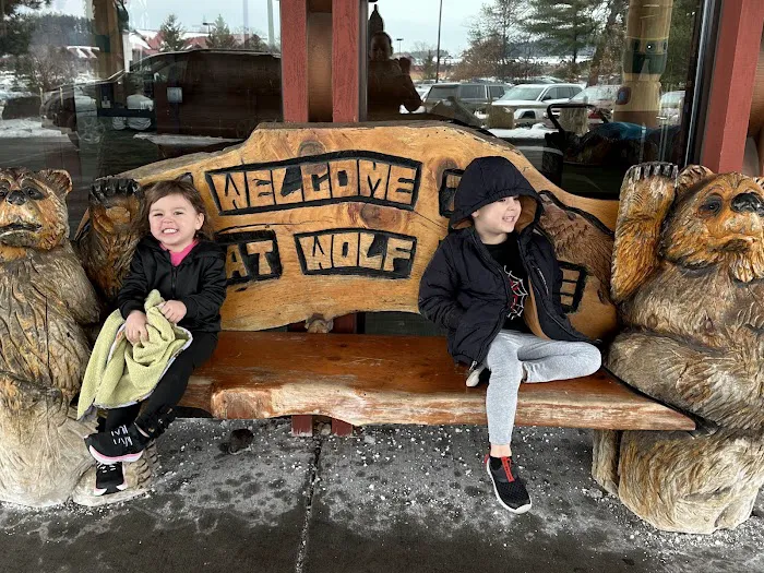 Great Wolf Lodge Condominiums 3
