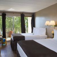 Delton Oaks Resort ico