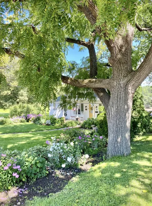 Cottage on Chestnut 5