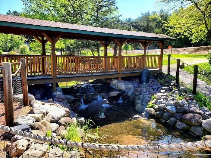 Meadowbrook Resort 4