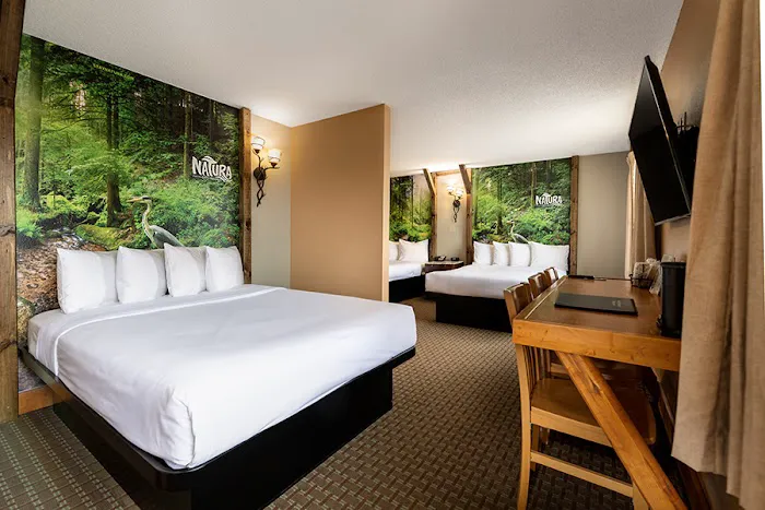 Natura Treescape Resort 4