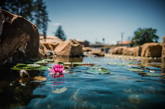 Natura Destinations 4