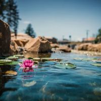 Natura Destinations ico