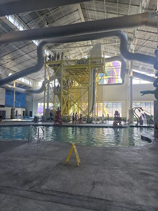 Dells 4