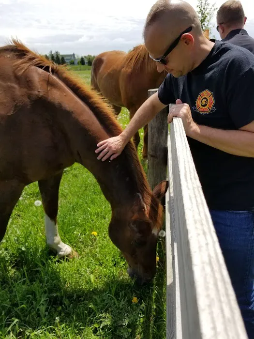 Lakewood Farms Resort 4