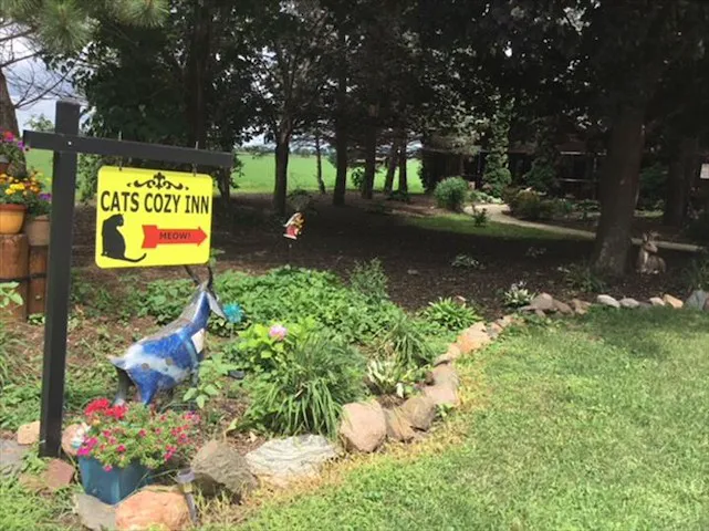Cats Cozy Inn 4