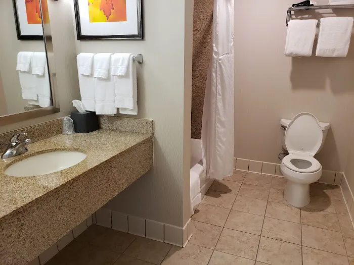 Holiday Inn Stevens Point - Convention Ctr by IHG 4