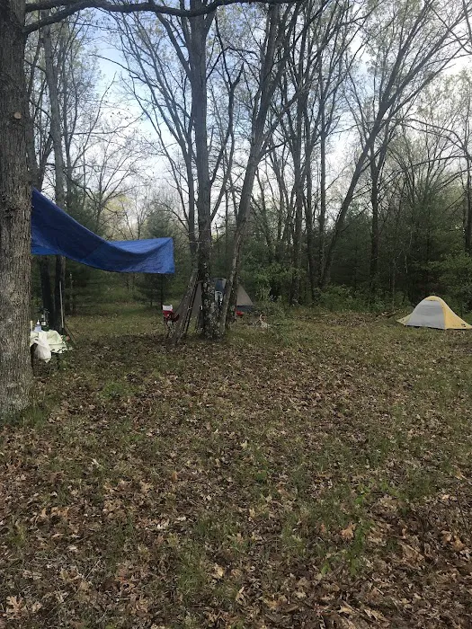 Ponderosa Lodge 4