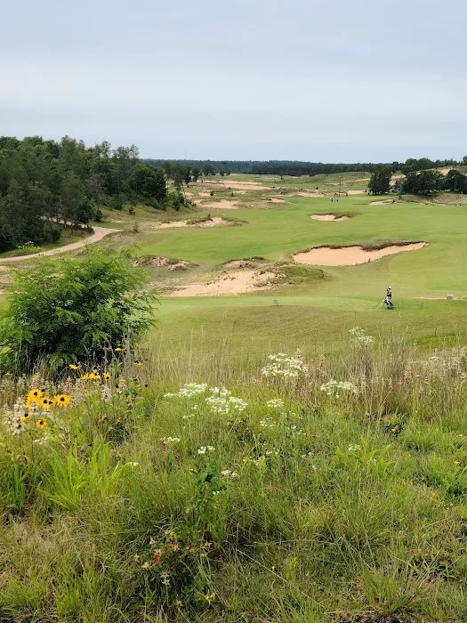 Sand Valley 4