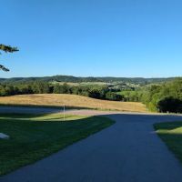 Twin Pines ico