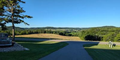 Twin Pines