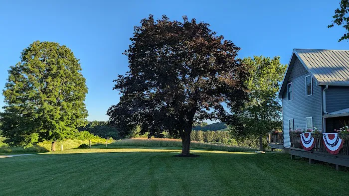 Twin Pines 4