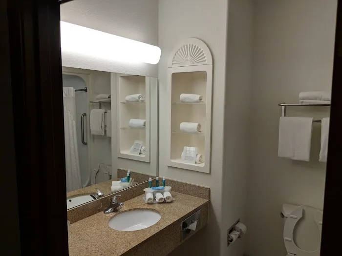 Holiday Inn Express & Suites Rockford - Loves Park, an IHG Hotel 4