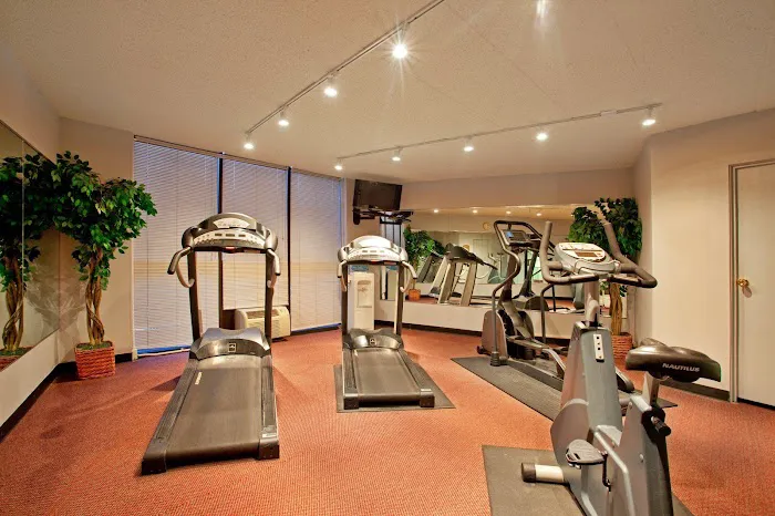 Holiday Inn Rockford(I-90&Rt 20/State St) by IHG 4