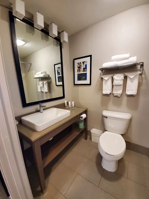 Country Inn & Suites by Radisson Kenosha - Pleasant Prairie 4