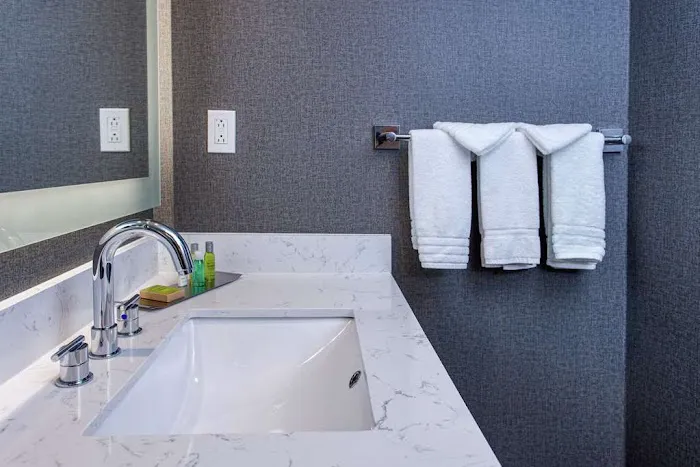 DoubleTree by Hilton Appleton 4