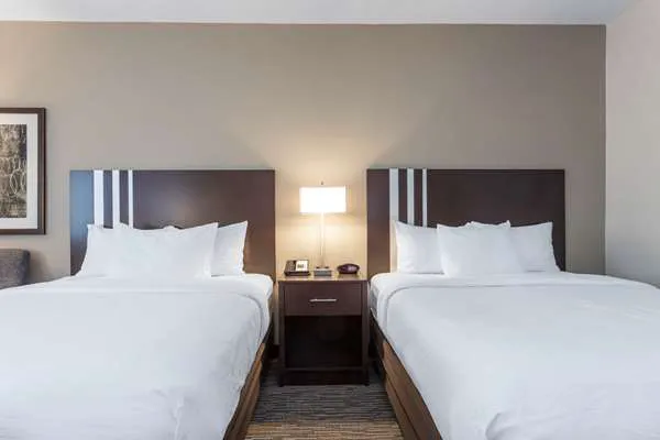 Wingate by Wyndham Gurnee 4