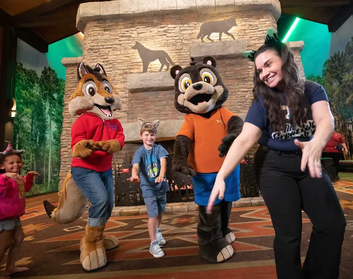Great Wolf Lodge Resort Hotel | Illinois 4