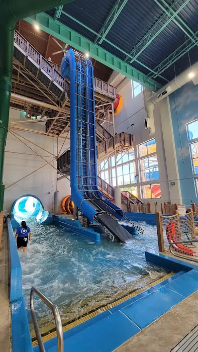 Great Wolf Lodge Resort Hotel | Illinois 4