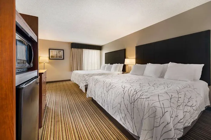 Best Western Park Oasis Inn 4