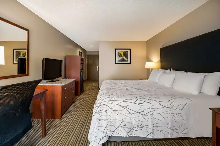Best Western Park Oasis Inn 4
