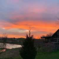 Empty Nest Cabin ico