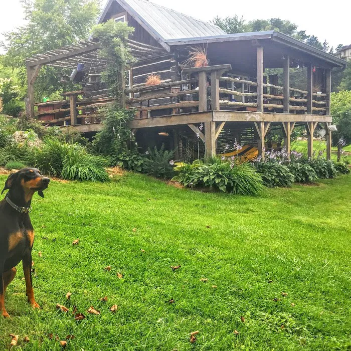 Empty Nest Cabin 4