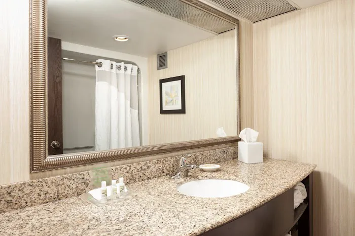 Holiday Inn Dubuque/Galena by IHG 5