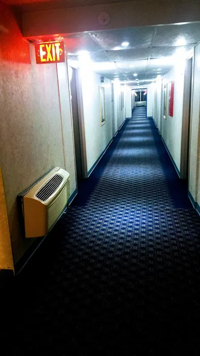 The Royal Suite 5