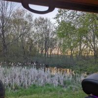 517 Cottages at Bluegreen Christmas Mountain Village ico