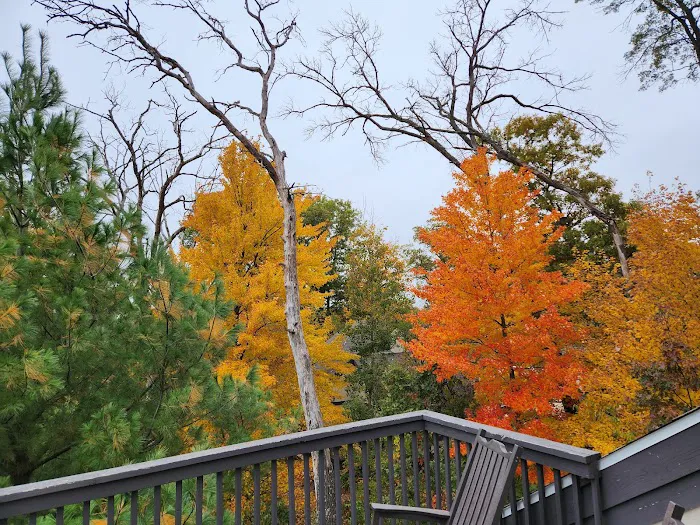 864 Townhome at Christmas Mountain Village 4