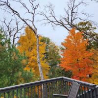864 Townhome at Christmas Mountain Village ico