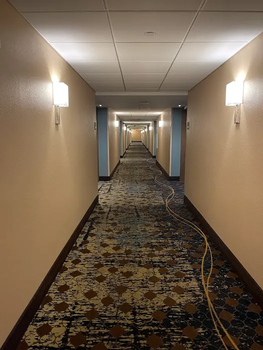 Pearl Street Hotel & Suites - Downtown 4