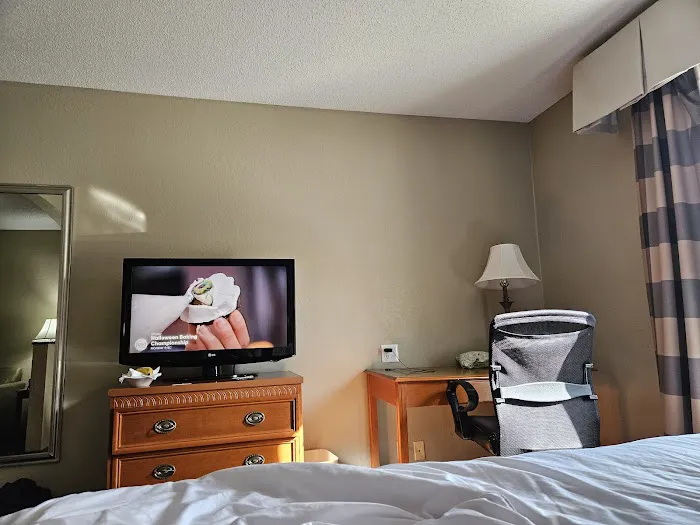 Stay Suites 4