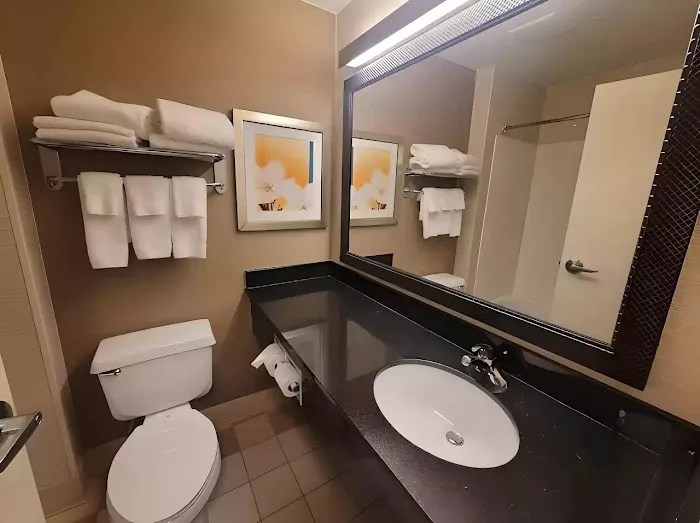 Dubuque Inn & Suites 4