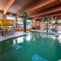 Comfort Suites ico