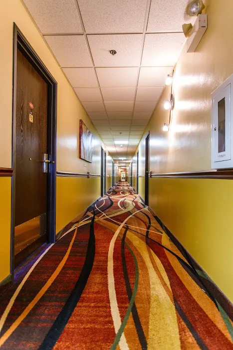 Hotel J Green Bay 4