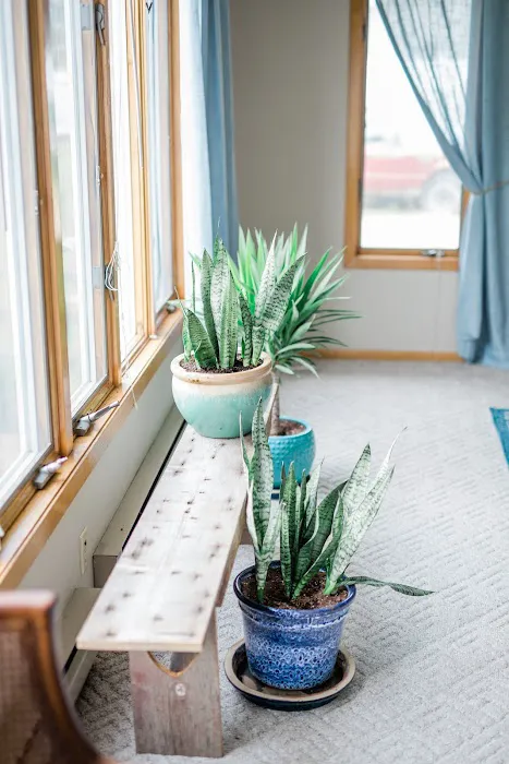 Driftless Vacation Rentals 4