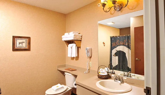 Boarders Inn & Suites by Cobblestone Hotels - Waukon 4