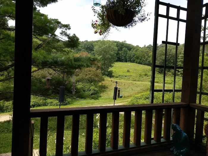 Hidden Hillow Acreage 4